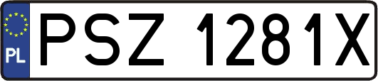 PSZ1281X