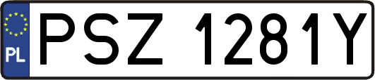 PSZ1281Y