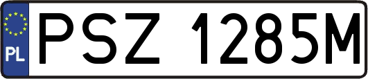 PSZ1285M