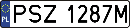 PSZ1287M