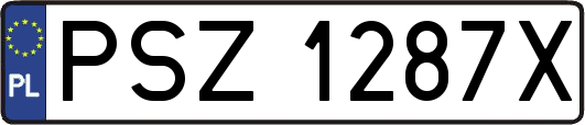 PSZ1287X