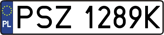 PSZ1289K