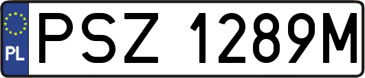 PSZ1289M