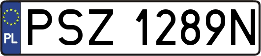 PSZ1289N