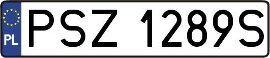 PSZ1289S