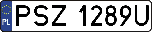 PSZ1289U