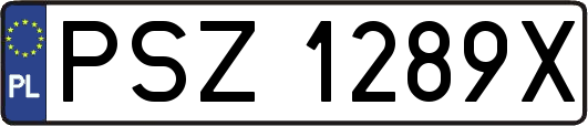 PSZ1289X