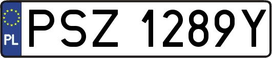PSZ1289Y