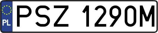 PSZ1290M