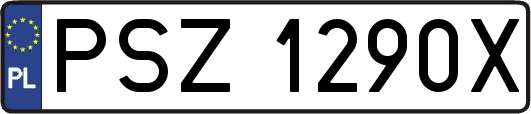 PSZ1290X