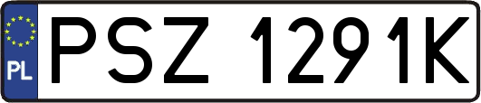 PSZ1291K