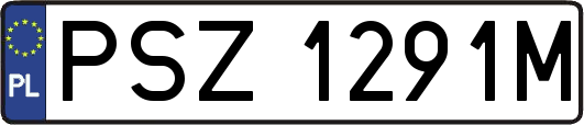 PSZ1291M