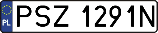 PSZ1291N