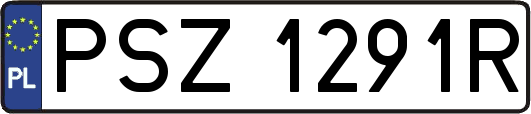 PSZ1291R