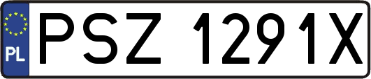 PSZ1291X