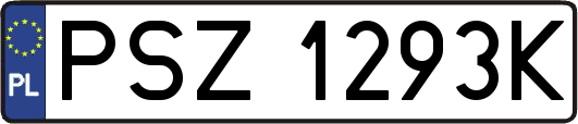 PSZ1293K