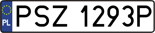 PSZ1293P