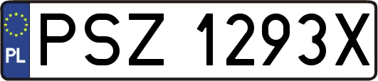 PSZ1293X