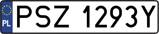 PSZ1293Y
