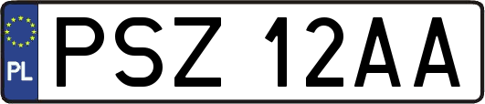 PSZ12AA