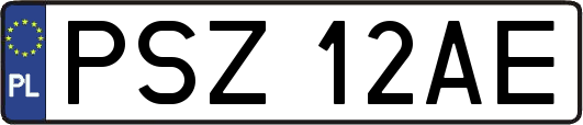 PSZ12AE
