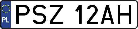 PSZ12AH