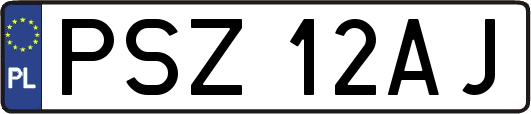 PSZ12AJ