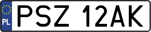 PSZ12AK