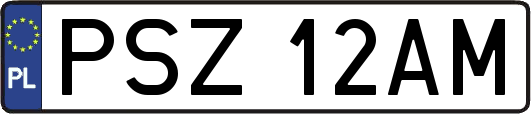 PSZ12AM