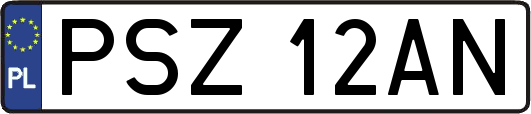 PSZ12AN