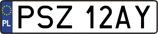 PSZ12AY