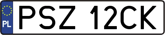 PSZ12CK
