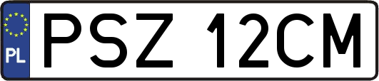 PSZ12CM