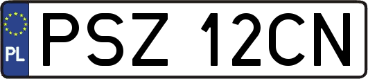 PSZ12CN