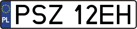 PSZ12EH