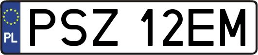 PSZ12EM