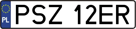 PSZ12ER