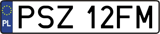 PSZ12FM