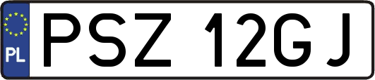 PSZ12GJ