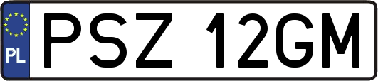 PSZ12GM