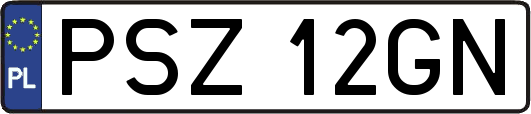 PSZ12GN