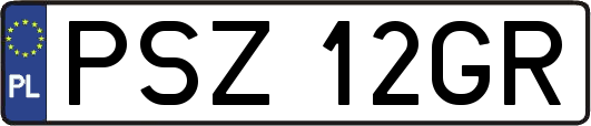 PSZ12GR