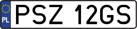 PSZ12GS