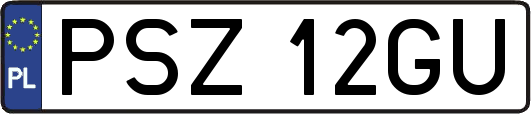 PSZ12GU