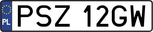 PSZ12GW