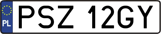 PSZ12GY