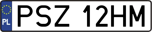 PSZ12HM