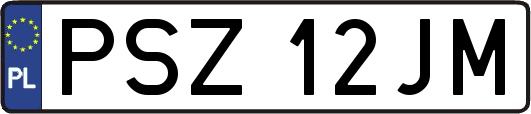 PSZ12JM