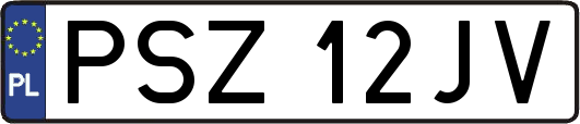 PSZ12JV