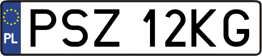 PSZ12KG
